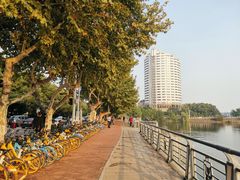 -武汉大学中南医院(总院区)