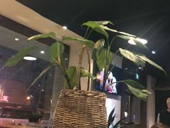 -茶花妹子云南餐厅(传媒大学店)