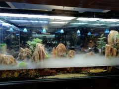 -泰谷酒店·太古码头闽菜自助餐厅