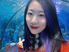 -泉城欧乐堡海洋极地世界