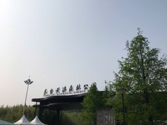 -黄海国家森林公园