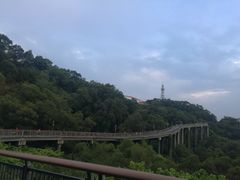 -金鸡山公园