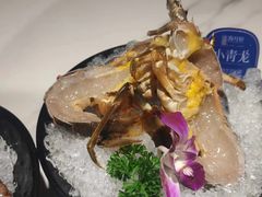 -海月轩海鲜豆捞(紫金塔店)