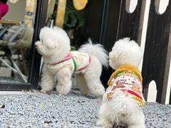 -J Create城市露营咖啡·简餐·宠物(上海动物园店)