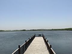 -天津东丽湖风景区