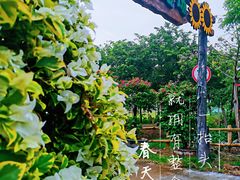 -盈香心动乐园