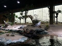 -北海海底世界