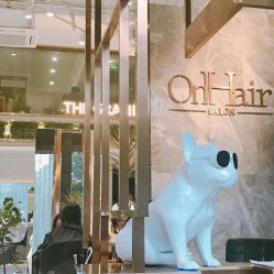-OnHair Salon
