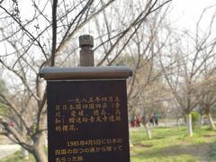 -西安青龙寺遗址景区