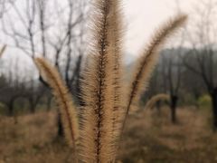 -静莲斋(仙人洞店)