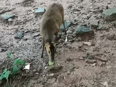 -昆明动物园