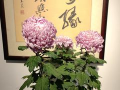-汇龙潭