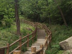 -白水寺森林公园