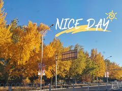 -正泰餐厅AmazingThai(亦庄店)