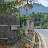 森林中的休闲时光