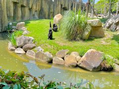 -上海野生动物园
