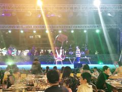 -渔家火锅·海鲜自助餐·演艺(亚龙湾天域酒店)