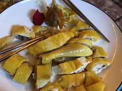 -食德喜·阳山鸡王食研基地