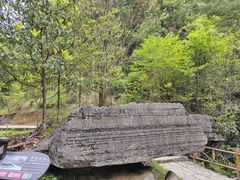 -梭布垭石林景区