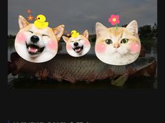 -青青世界