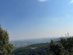 -北京西山国家森林公园