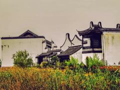 -上海长兴岛郊野公园