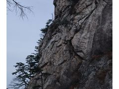 -太平万花山景区