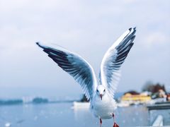 -海埂大坝