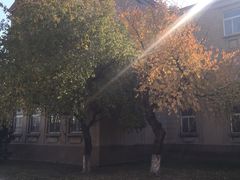 -辽宁大学(崇山校区)