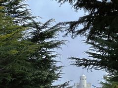 -ChanDu躔度咖啡(灯塔店)