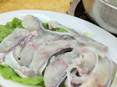 -金砂阿洲鱼册店