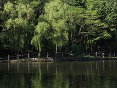 -秦岭终南山世界地质公园翠华山景区