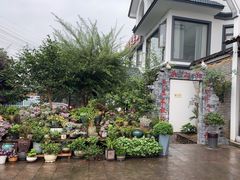 -头上红煨盐鸡·非遗院子餐厅