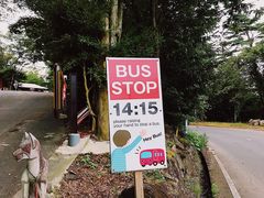 -宫城藏王狐狸村