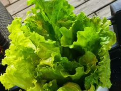 生菜-八合里潮汕鲜牛肉火锅(吉大店)