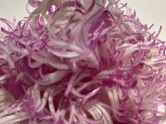 -大拙里·精致融合菜(沙湖桃源国际店)