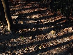 -火炉山森林公园