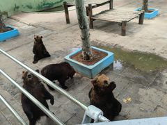 -西霞口神雕山野生动物世界