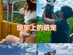 -驼梁风景区