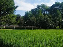 -北坞公园