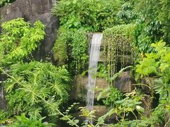 -广州神农草堂中医药博物馆