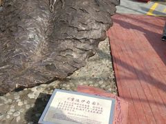 -西安曲江寒窑遗址公园