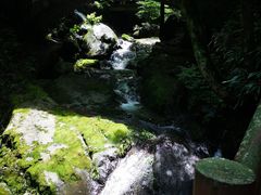 -藏龙百瀑风景区