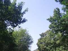 -北京西山国家森林公园