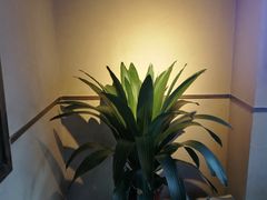 -霸王虾·小龙虾香辣蟹(玉林店)