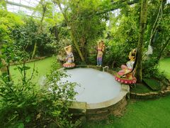 -呀路古热带植物园