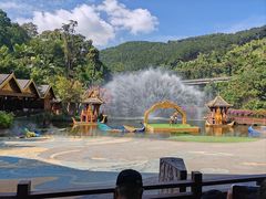 -西双版纳原始森林公园