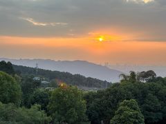 -金水泊山庄·花椒鸡(铁山坪店)