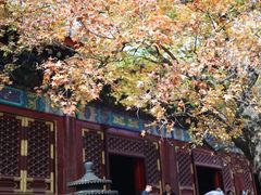-香山公园