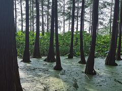 -云龙湖旅游景区